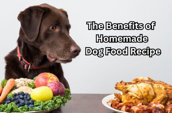 Homemade Tops Dog Food Recipe 2023 homemade-tops-dog-food-recipe-2023